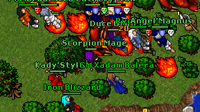 Scorpion Mage on screen