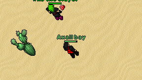 Axail bay on screen