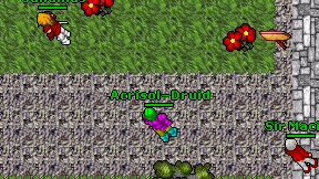 Acrisol-Druid on screen