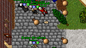 Dalmat on screen