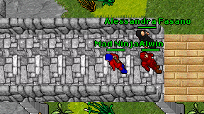 Mad Ninja on screen