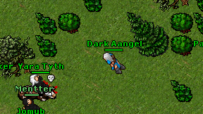 Dark Aangel on screen