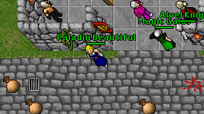 Paladin Beautiful on screen