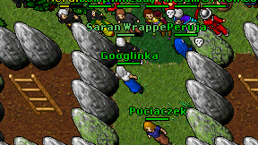 Googlinka on screen
