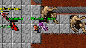 Maxterninja on screen