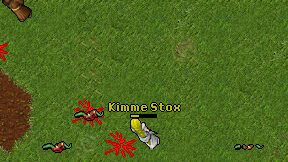 Kimme Stox on screen