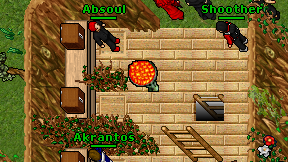Akrantos on screen