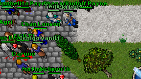Teki Rooky on screen
