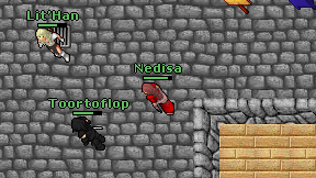 Nedisa on screen