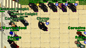 Chymp on screen