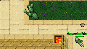 Anzelm Magic on screen