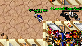 Shark flox on screen