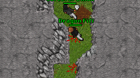 Dragon Fifi on screen