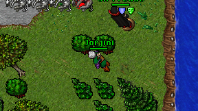Jorjini on screen