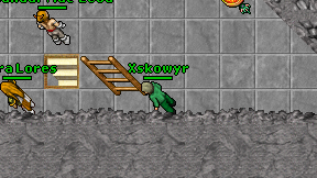 Xskowyr on screen