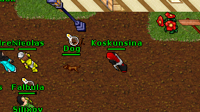 Koskunsina on screen