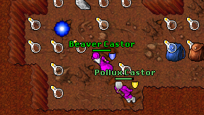 Beaver Castor on screen