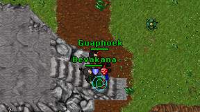 Guaphoek on screen