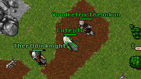 Cotejito on screen