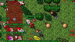 Aldweyn on screen