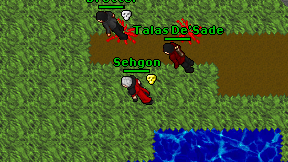 Sehgon on screen