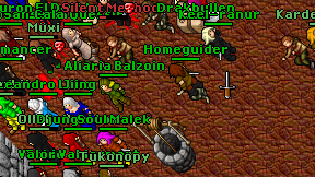 Homeguider on screen