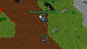 Marvelous Max on screen