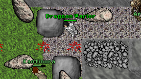 Dragoon Warior on screen