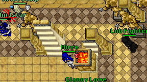 Liib Fighter on screen