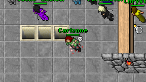 Carlzone on screen