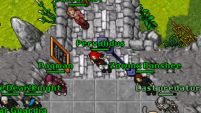 Pervalidus on screen