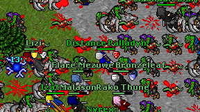 Distance Palladyn on screen