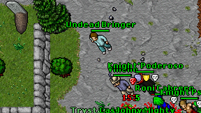 Undead Bringer on screen