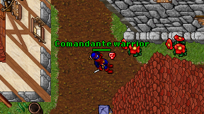 Comandante warrior on screen