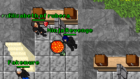 Ninja Revenge on screen