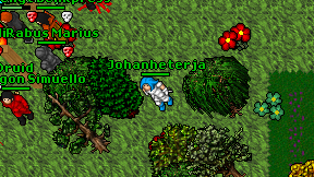 Johanheterja on screen