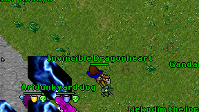 Invincible Dragonheart on screen