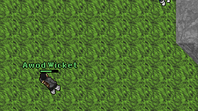 Awod Wicket on screen