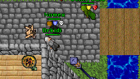 Orkidi on screen