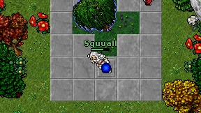 Squuall on screen