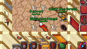 Blazeing Mage on screen