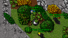 Cuzys on screen