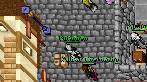 Pukoben on screen