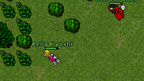 Kelly Kiyoshi on screen