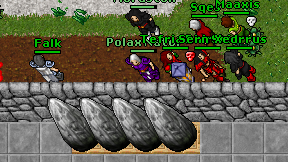 Polax Nator on screen
