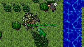 Siemano Banano on screen