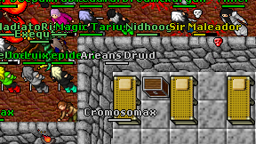 Areans Druid on screen