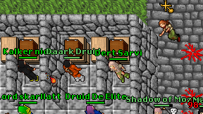 Daark Druid on screen