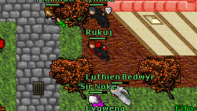 Rukuj on screen