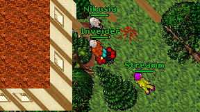 Inveider on screen